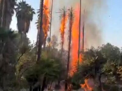 ماجرای آتشسوزی در باغ گردشگری چشمه بلقیس چرام