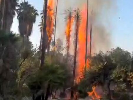 ماجرای آتشسوزی در باغ گردشگری چشمه بلقیس چرام